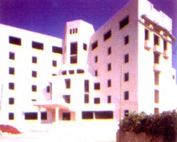 Палестина - Al Mezan Hospital
